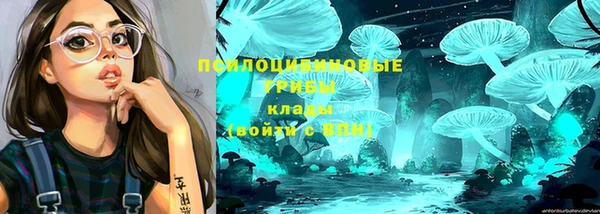 дурь Волоколамск